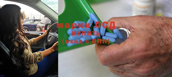 стаф Аркадак