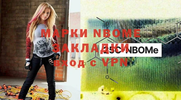 стаф Аркадак