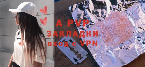 стаф Аркадак