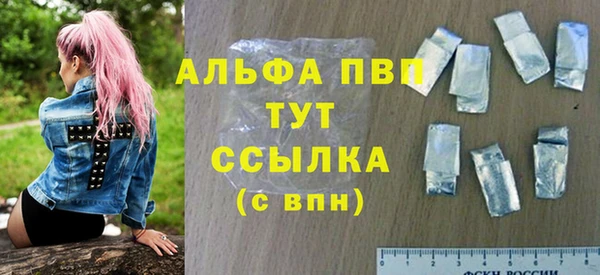 стаф Аркадак