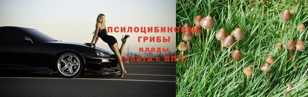 Альфа ПВП Арсеньев