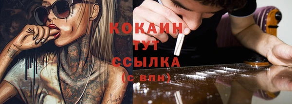 стаф Аркадак