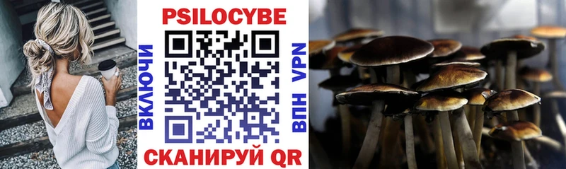Галлюциногенные грибы мухоморы Сретенск