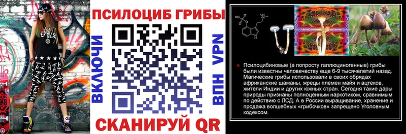 Галлюциногенные грибы мухоморы  магазин продажи   OMG зеркало  Сретенск 